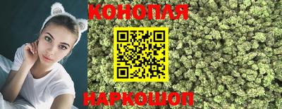 сатива Малоярославец