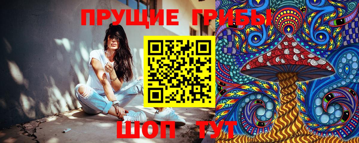 Псилоцибиновые грибы Cubensis Волгоград